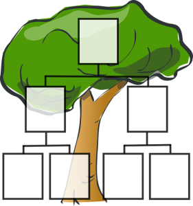 Arbol genealógico