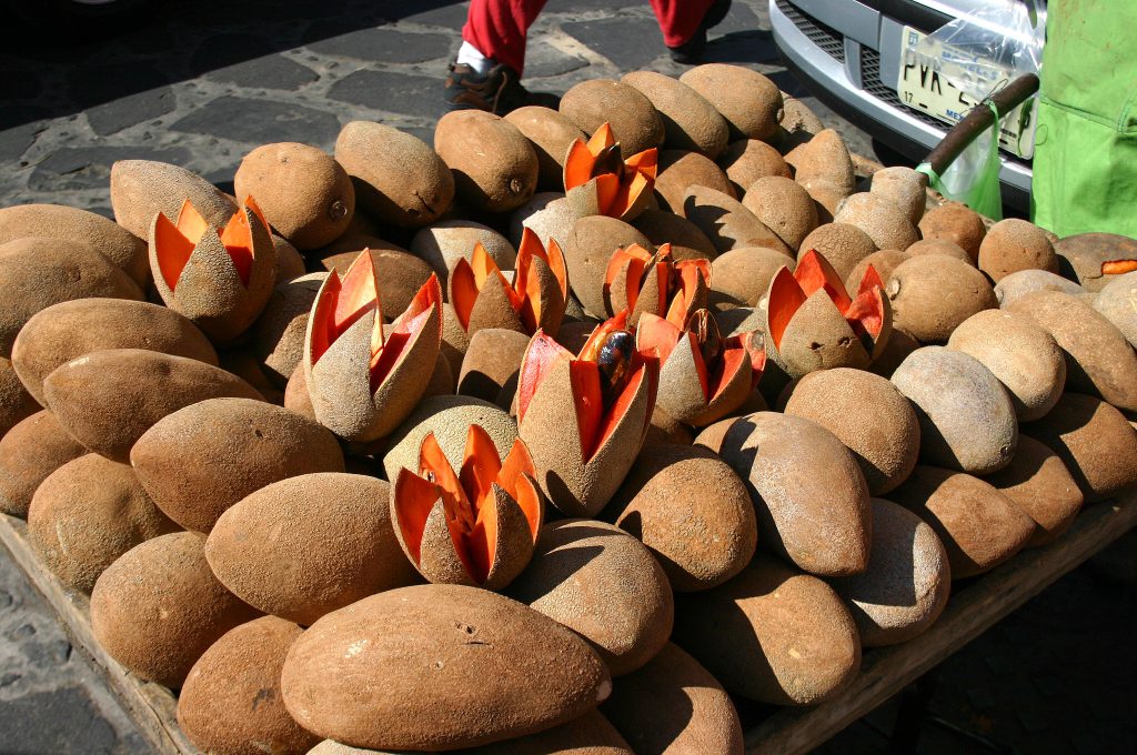 Mamey en Tepoztlán México