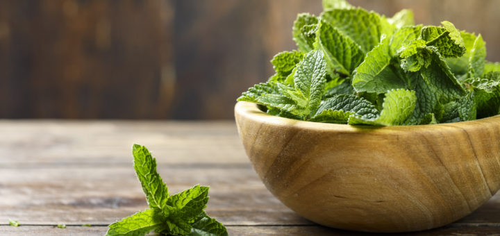 Menta verde o hierbabuena
