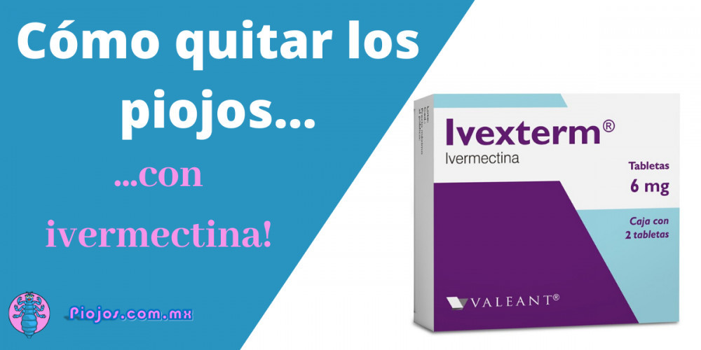 Tratamiento de piojos en adultos: elimina los minivampiros